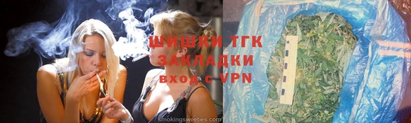 шишки Инсар